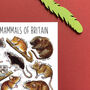 Small Mammals Of Britain Watercolour Postcard, thumbnail 8 of 8