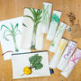 Garden Vegetable Gift Set, thumbnail 2 of 9