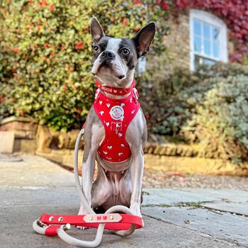 Hearts Of Red Adjustable Dog Harness, 6 of 8