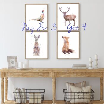 The Great British Wildlife Collection Four For Three, 2 of 11