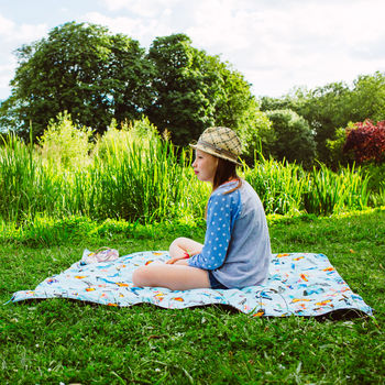 picnic family