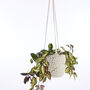 Recycled Crochet Hanging Plant Pot, thumbnail 3 of 12