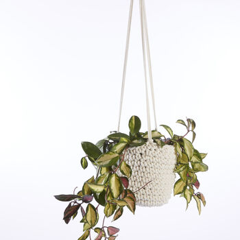 Recycled Crochet Hanging Plant Pot, 3 of 12