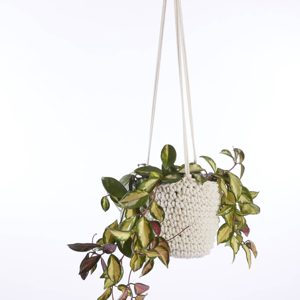 Recycled Crochet Hanging Plant Pot By Heather Orr