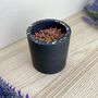 Black Matchstick Pot Holder, thumbnail 3 of 3