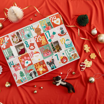 Exclusive Christmas Advent Calendar For Dogs, 5 of 11
