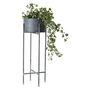 Plant Pot On Stand, thumbnail 2 of 3