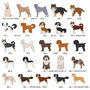 Personalised Valentine's Dog Breed Card Sent Direct, thumbnail 11 of 12