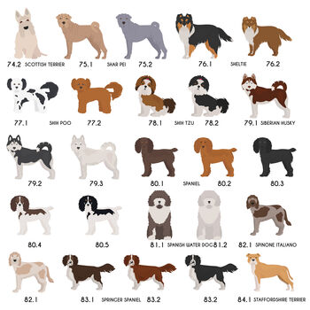 Personalised Valentine's Dog Breed Card Sent Direct, 11 of 12