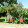 Two X Robin Sculptures Outdoor Statue, thumbnail 8 of 9