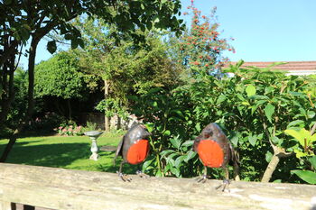 Two X Robin Sculptures Outdoor Statue, 8 of 9