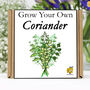 Gardening Gift. Grow Your Own Herbs. Coriander Seeds, thumbnail 1 of 6