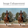 Custome Watercolor Horse Portrait Gift For Horse Owners, thumbnail 6 of 7