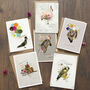 Mixed Pack Of 'Quirky Animals' Birthday Cards, thumbnail 1 of 7