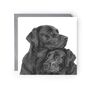Hand Drawn Labrador Cuddles Dog Pet Greeting Card, thumbnail 2 of 6