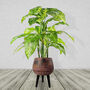 Large Composite Brown / Black Planter With Stand, thumbnail 7 of 7