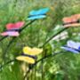 Set Of Five Coloured Butterfly Garden Stakes – Outdoor Metal Art – Vibrant Powder Coated Butterflies On Black Poles, thumbnail 1 of 7