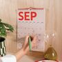 2025–2026 Mid Year Calendar | Simply Bright | July Start | A4, thumbnail 2 of 8
