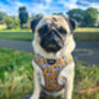 Woodland Badger Dog Harness, thumbnail 8 of 12