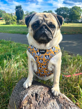 Woodland Badger Dog Harness, 8 of 12
