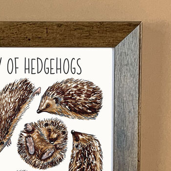 Hedgehogs Watercolour Art Print, 8 of 9