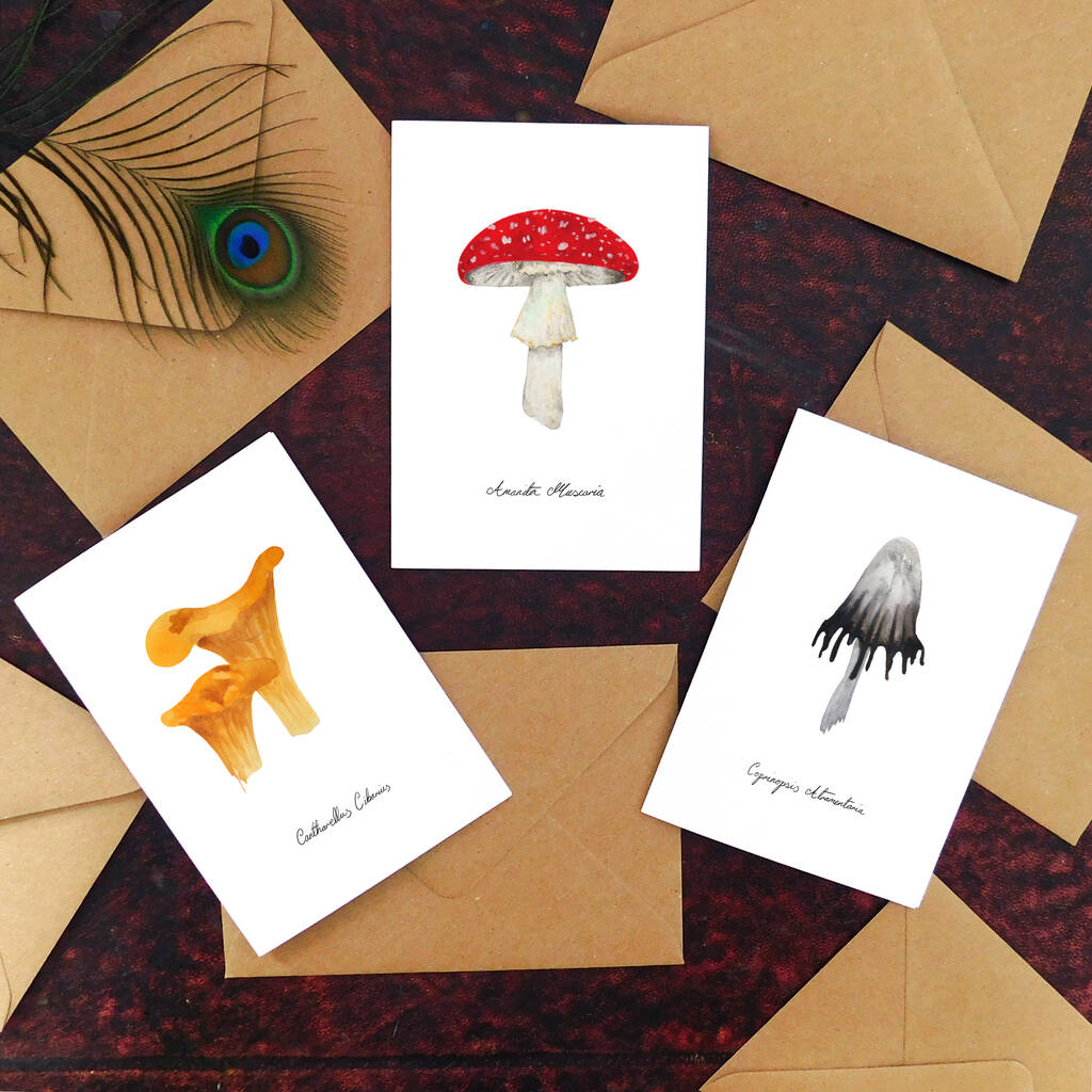 Fungi Specimens Notecard Pack By Also the Bison | notonthehighstreet.com