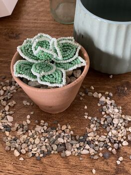 Echeveria Plant Beaded Craft Kit, 4 of 4