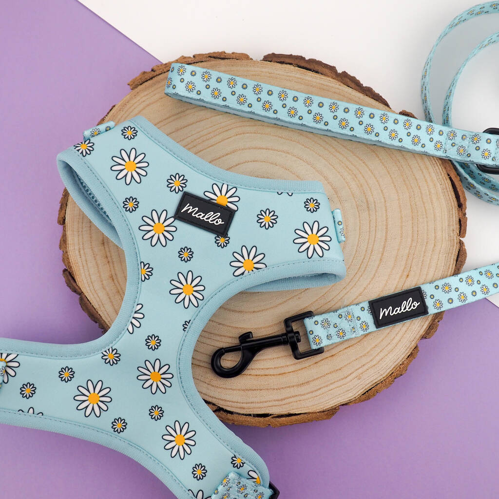 Daisy Dog Harness, Collar And Lead Set By Mallo