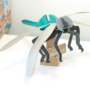 Build Your Own Personalised Dragonfly, 8 of 12