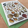 Seashells Of Britain Art Blank Greeting Card, thumbnail 5 of 12
