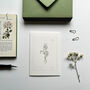 ‘Forget Me Not’ Botanical Spring Flower Notecard, thumbnail 2 of 4