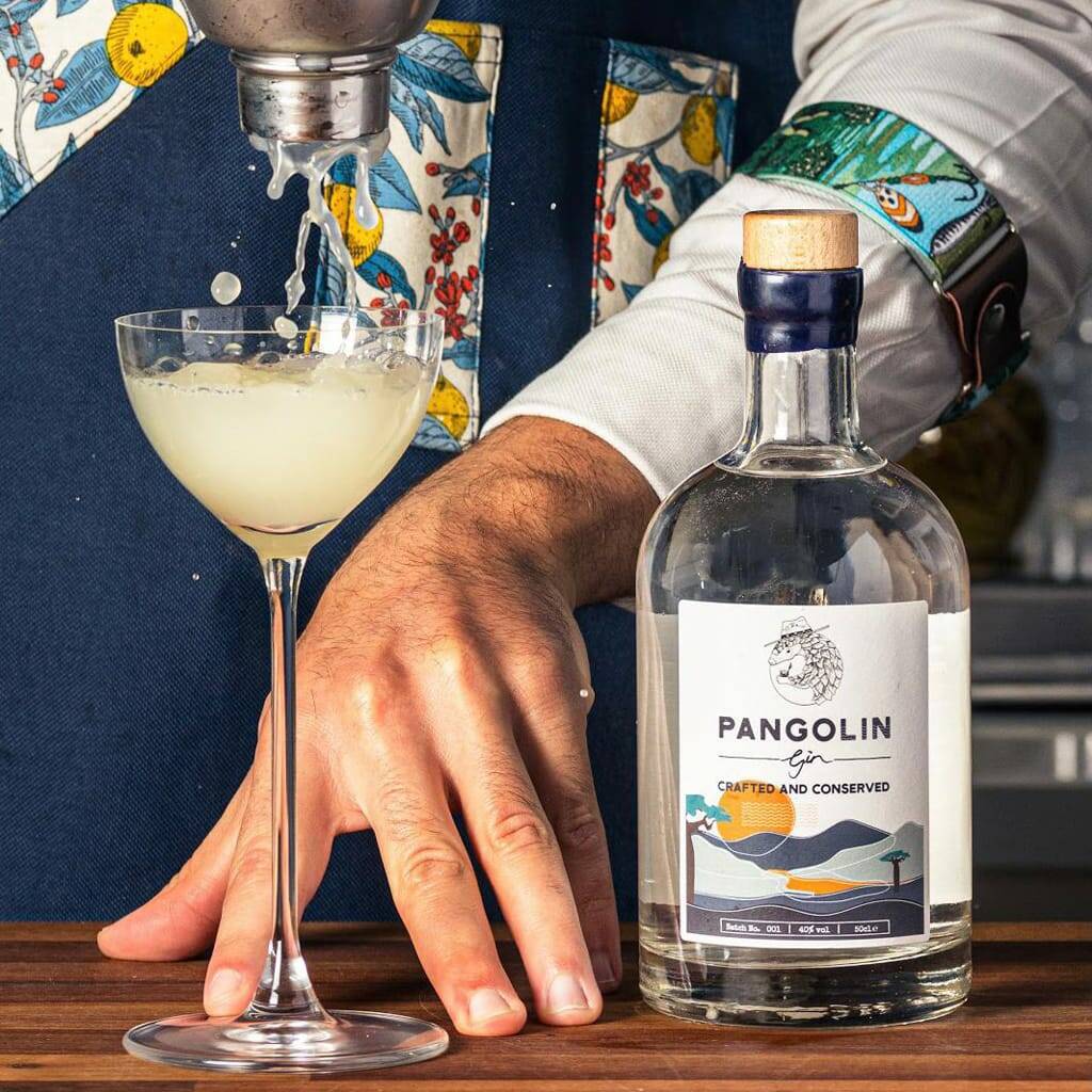Pangolin Gin, Small Batch Hand Crafted Gin, 1 of 9