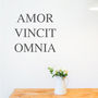 Latin Quote Wall Sticker, thumbnail 1 of 7