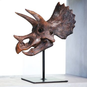 Triceratops Dinosaur Skull Hand Painted 3D Model Gifts For Him, 2 of 8