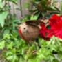 Metal Robin Garden Ornament Sympathy / Remembrance Gift, thumbnail 4 of 8