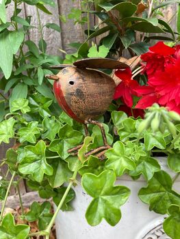 Metal Robin Garden Ornament Sympathy / Remembrance Gift, 4 of 8