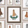 Personalised Afghan Hound Portrait Print, thumbnail 8 of 10