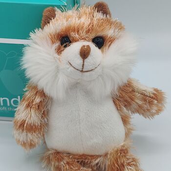 Mini Ginge Cuddly Companion Cat Premium Plush Soft Toy, Gift Box, 2 of 7