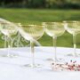 Luxury Champagne Coupe Glasses Set, thumbnail 3 of 8