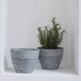 Pack Of Two Minimalist Planters With Drainage Holes, thumbnail 7 of 10