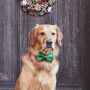 Christmas Velvet Dog Bow Tie, thumbnail 2 of 12