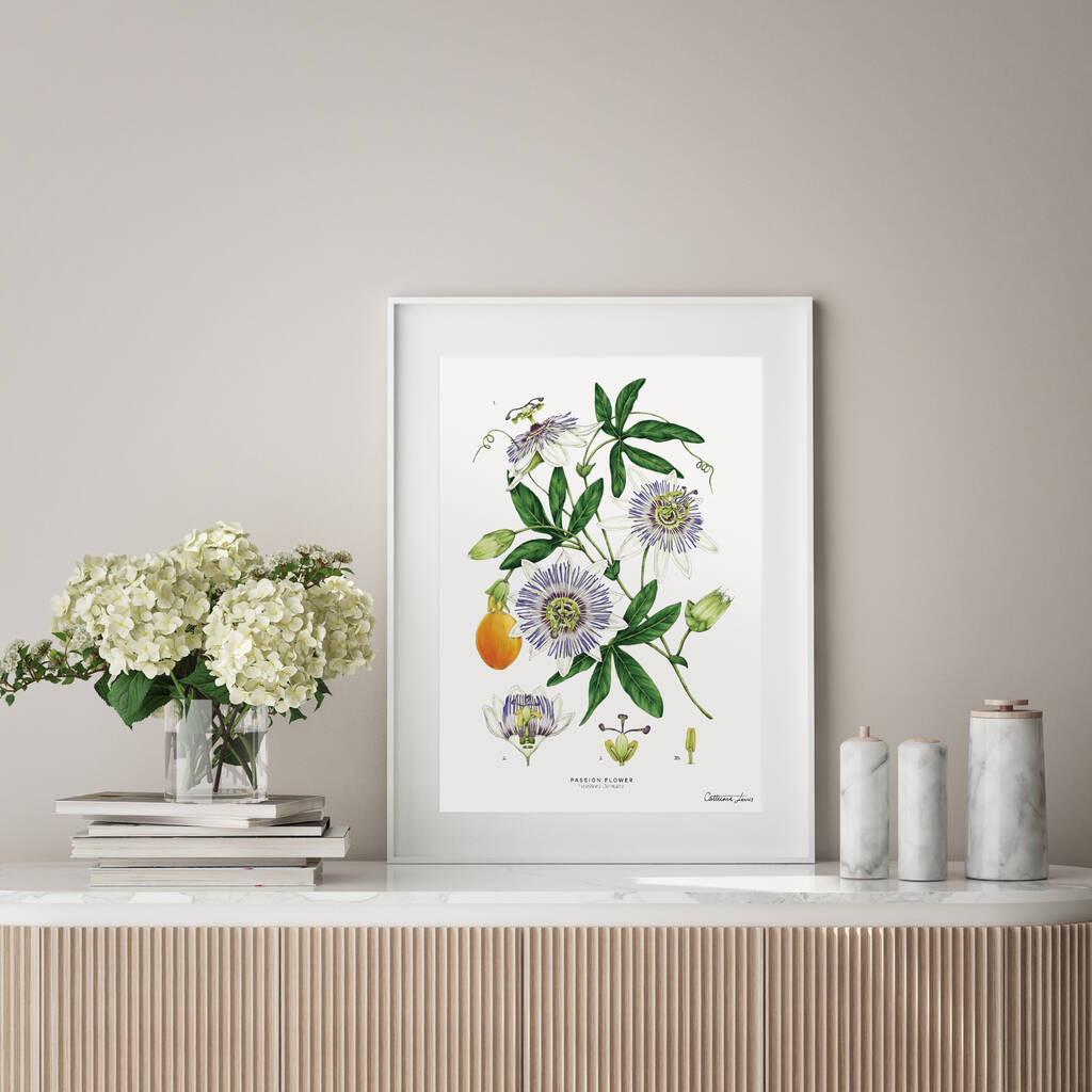 Passion Flower White, Botanical Art Print, 1 of 2