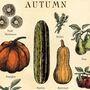 Seasonal Fruit And Vegetable Poster, UK Version, thumbnail 2 of 6
