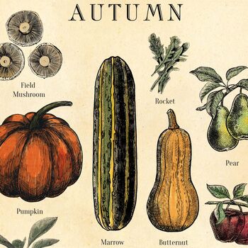 Seasonal Fruit And Vegetable Poster, UK Version, 2 of 6