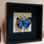 Realistic Handmade Faux Butterfly Taxidermy Embroidery, thumbnail 2 of 6