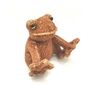 Mini Frog Toad With Happy Birthday Engraved Tag, thumbnail 2 of 5