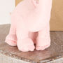 Personalised Gift Bag + Pink Diplodocus Rattle Dinosaur, thumbnail 4 of 4