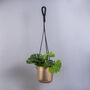 Golden Hanging Planters Set Of Two, thumbnail 5 of 10