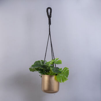 Golden Hanging Planters Set Of Two, 5 of 10