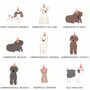 The Dog Lover's A To Z With Personalised Dog Breed Birthday Card, thumbnail 9 of 12